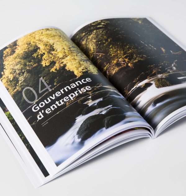Rapport annuel